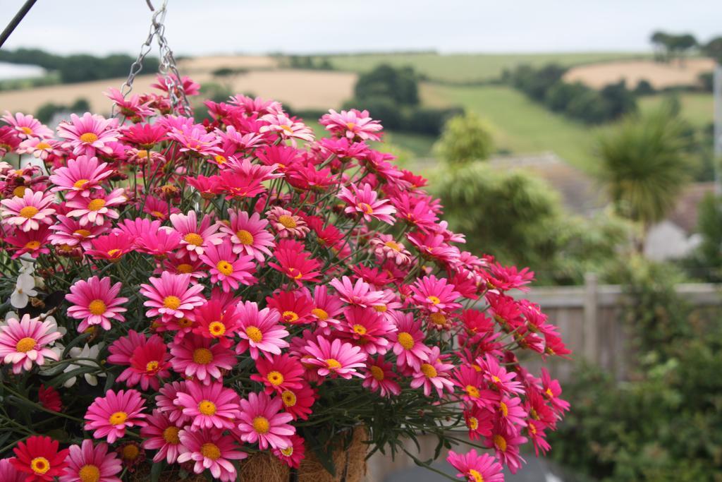 Linton Luxury Holiday Home Mevagissey Extérieur photo